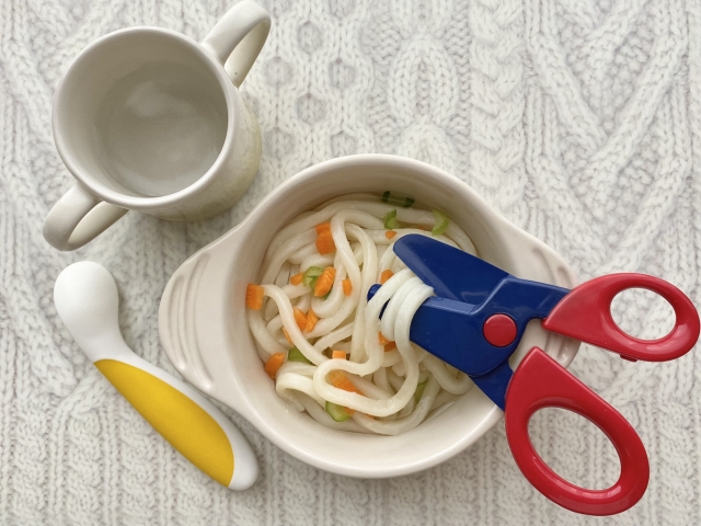 うどん 食器